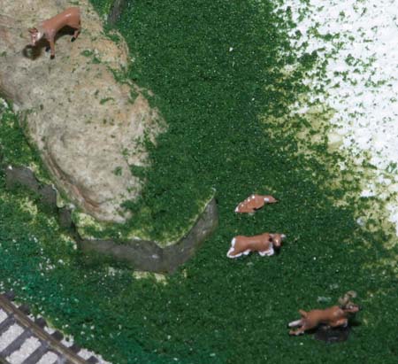 Deer